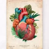 Codex Anatomicus Heart Anatomy^Heart anatomy V - Floral - Vintage