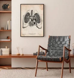 Codex Anatomicus Lungs Anatomy | Heart Anatomy^Heart and Lungs anatomy art V