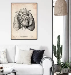 Codex Anatomicus Lungs Anatomy | Heart Anatomy^Heart and Lungs anatomy art I