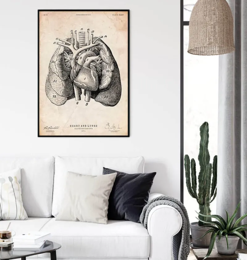 Codex Anatomicus Lungs Anatomy | Heart Anatomy^Heart and Lungs anatomy art I