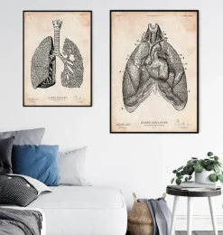 Codex Anatomicus Lungs Anatomy | Heart Anatomy^Heart and Lungs anatomy art III