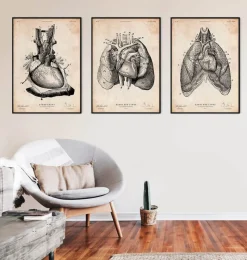 Codex Anatomicus Lungs Anatomy | Heart Anatomy^Heart and Lungs anatomy art I