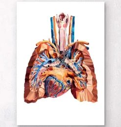 Codex Anatomicus Lungs Anatomy | Heart Anatomy^Heart and lungs anatomy III