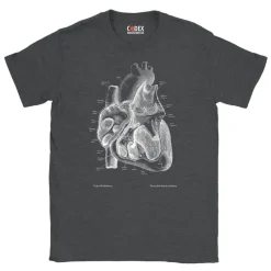 Codex Anatomicus T-shirts^Heart II Unisex T-Shirt - Chalkboard