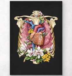 Codex Anatomicus Lungs Anatomy | Heart Anatomy^Heart, lungs and rib cage - Floral - Black
