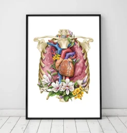 Codex Anatomicus Lungs Anatomy | Heart Anatomy^Heart, lungs and rib cage - Floral - White