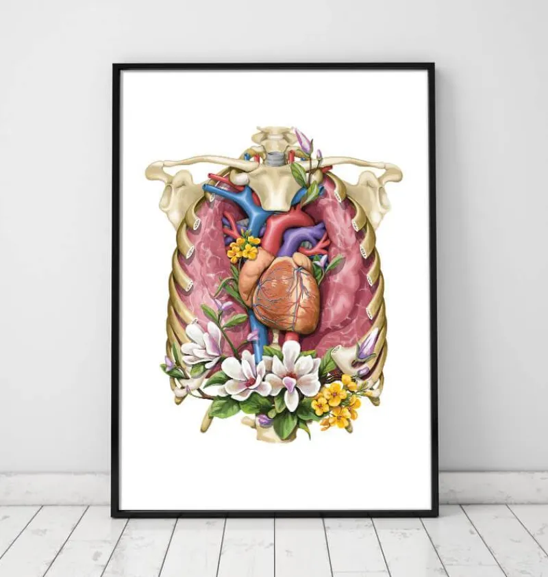 Codex Anatomicus Lungs Anatomy | Heart Anatomy^Heart, lungs and rib cage - Floral - White