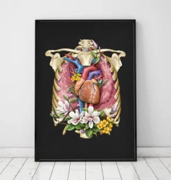 Codex Anatomicus Lungs Anatomy | Heart Anatomy^Heart, lungs and rib cage - Floral - Black