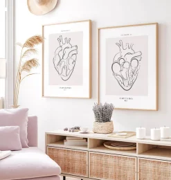 Codex Anatomicus Heart Anatomy^Heart section - Line Art