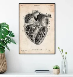 Codex Anatomicus Heart Anatomy^Heart section art print II