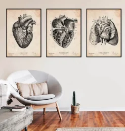 Codex Anatomicus Heart Anatomy^Heart section art print II