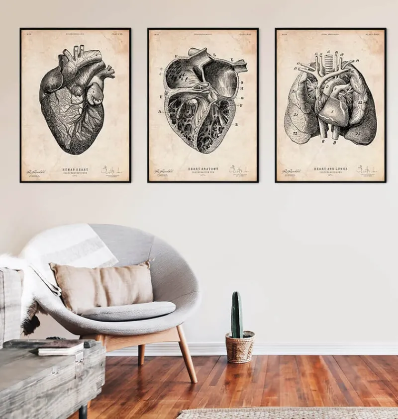 Codex Anatomicus Heart Anatomy^Heart section art print II