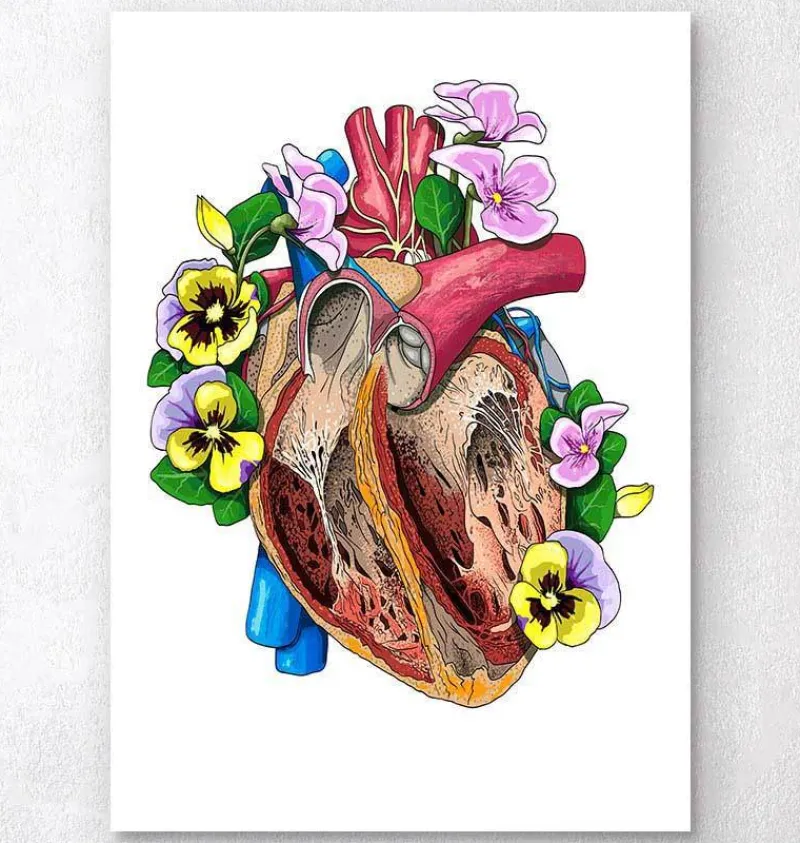 Codex Anatomicus Heart Anatomy^Heart with flowers II