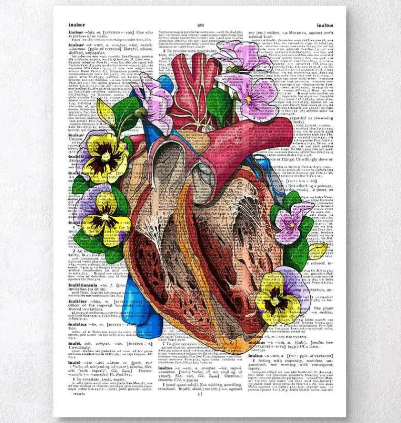 Codex Anatomicus Heart Anatomy^Heart with flowers II - Dictionary page