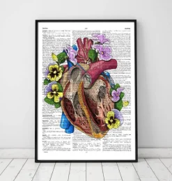 Codex Anatomicus Heart Anatomy^Heart with flowers II - Dictionary page
