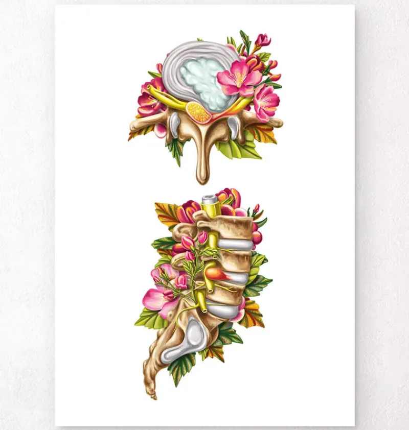 Codex Anatomicus Skull & Skeleton^Herniated disc - Floral - White