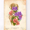 Codex Anatomicus Skull & Skeleton^Hip joint anatomy - Floral - Vintage