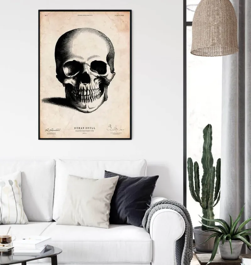 Codex Anatomicus Skull & Skeleton^Human skull print II