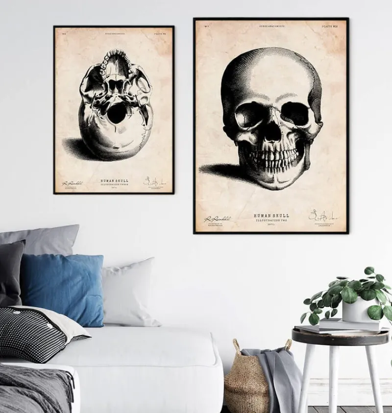 Codex Anatomicus Skull & Skeleton^Human skull print II