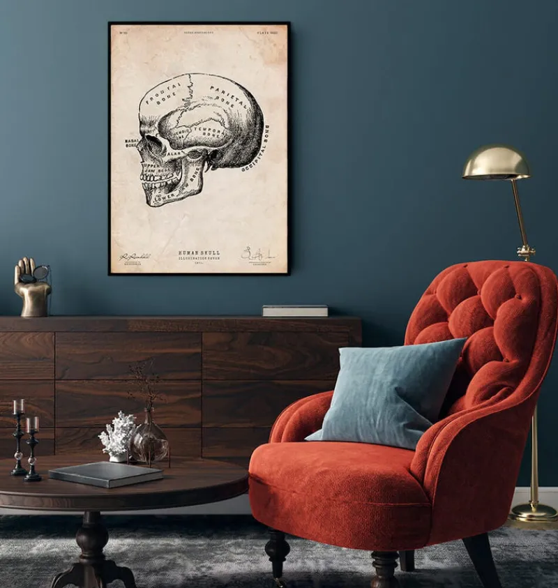 Codex Anatomicus Skull & Skeleton^Human skull print IX