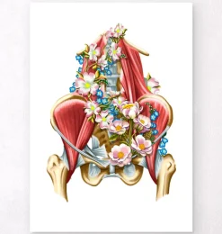 Codex Anatomicus Skull & Skeleton^Iliacus and Psoas muscles - Floral - White