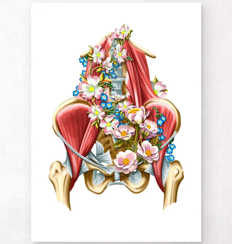 Codex Anatomicus Skull & Skeleton^Iliacus and Psoas muscles - Floral - White