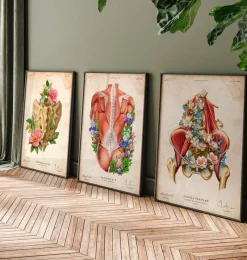 Codex Anatomicus Skull & Skeleton^Iliacus and Psoas muscles - Floral - Vintage