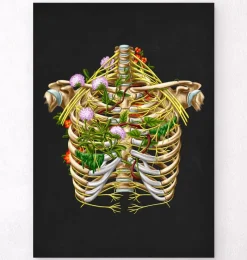 Codex Anatomicus Skull & Skeleton^Intercostal nerves - Floral - Black