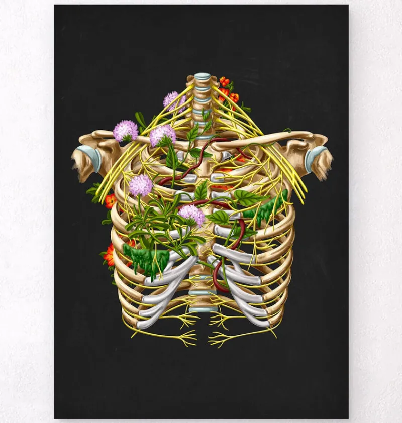 Codex Anatomicus Skull & Skeleton^Intercostal nerves - Floral - Black