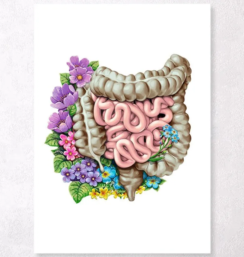 Codex Anatomicus Digestive System^Intestines anatomy - Floral - White
