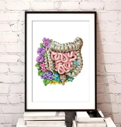 Codex Anatomicus Digestive System^Intestines anatomy - Floral - White