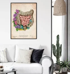Codex Anatomicus Digestive System^Intestines anatomy - Floral - Vintage