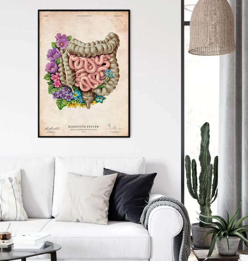 Codex Anatomicus Digestive System^Intestines anatomy - Floral - Vintage