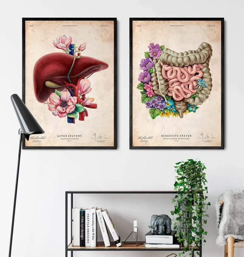 Codex Anatomicus Digestive System^Intestines anatomy - Floral - Vintage
