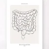 Codex Anatomicus Digestive System^Intestines anatomy - Line Art
