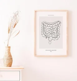 Codex Anatomicus Digestive System^Intestines anatomy - Line Art