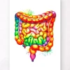 Codex Anatomicus Various Organs | Digestive System^Intestines anatomy art - Watercolor splash