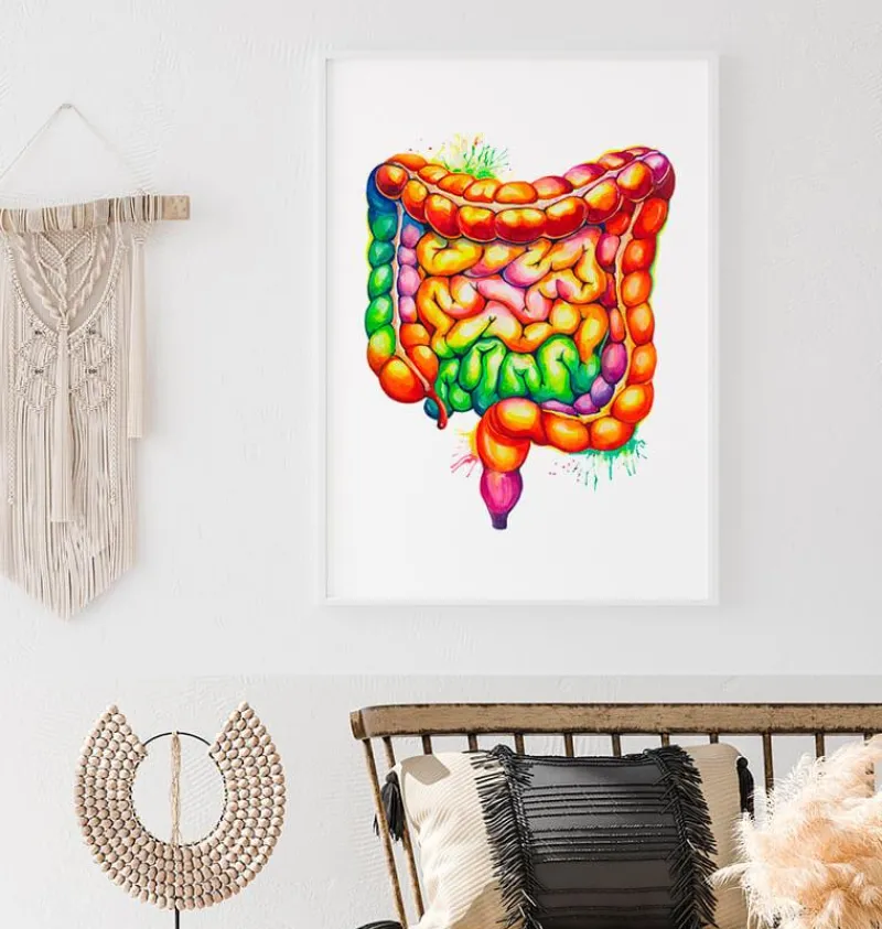 Codex Anatomicus Various Organs | Digestive System^Intestines anatomy art - Watercolor splash