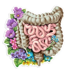 Codex Anatomicus Stickers^Intestines anatomy sticker - Floral