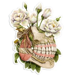 Codex Anatomicus Stickers^Jaw anatomy sticker - Floral