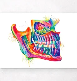 Codex Anatomicus Dental Anatomy^Jaw dental anatomy art - Watercolor splash