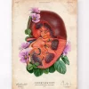 Codex Anatomicus Kidney & Liver^Kidney anatomy - Floral - Vintage