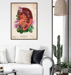 Codex Anatomicus Kidney & Liver^Kidney anatomy - Floral - Vintage