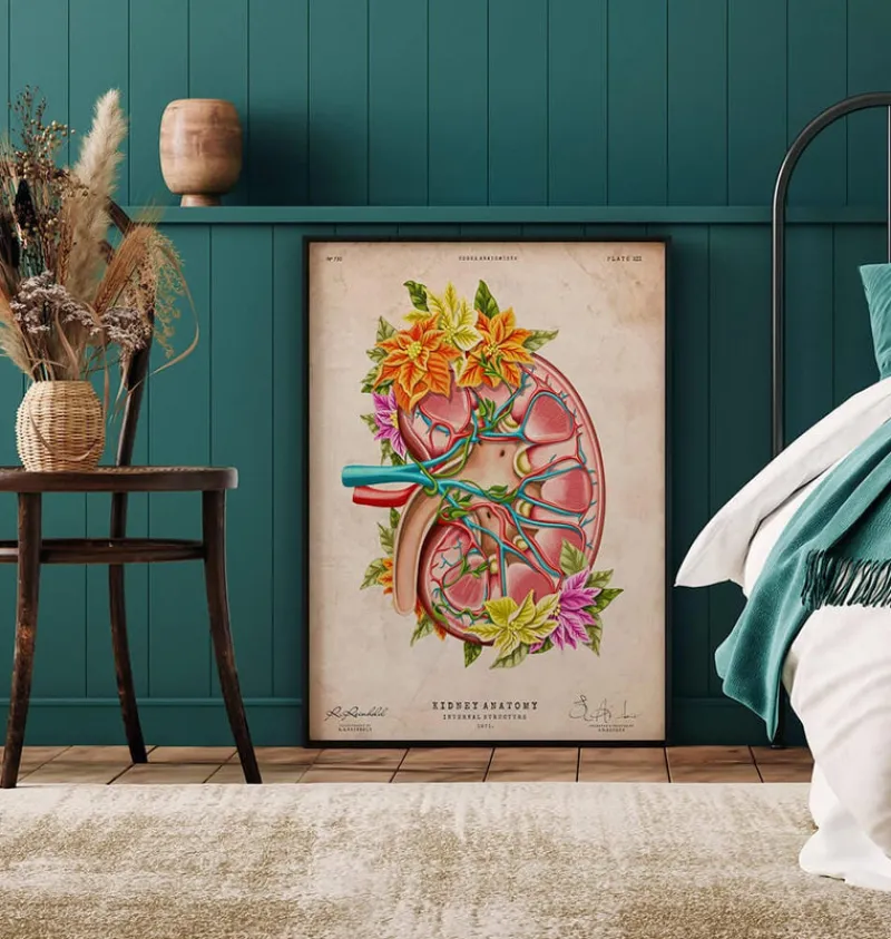 Codex Anatomicus Kidney & Liver^Kidney anatomy II - Floral - Vintage