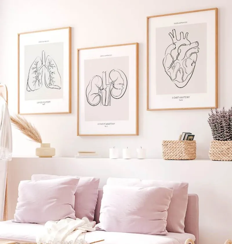 Codex Anatomicus Kidney & Liver^Kidneys anatomy - Line Art