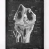 Codex Anatomicus Skull & Skeleton^Knee anatomy - Chalkboard
