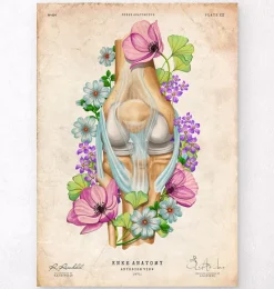 Codex Anatomicus Skull & Skeleton^Knee anatomy - Floral - Vintage