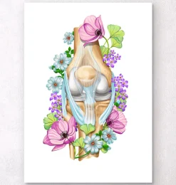 Codex Anatomicus Skull & Skeleton^Knee anatomy - Floral - White