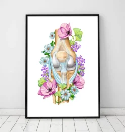 Codex Anatomicus Skull & Skeleton^Knee anatomy - Floral - White