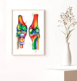 Codex Anatomicus Skull & Skeleton | Hands & Legs^Knee anatomy - Watercolor splash
